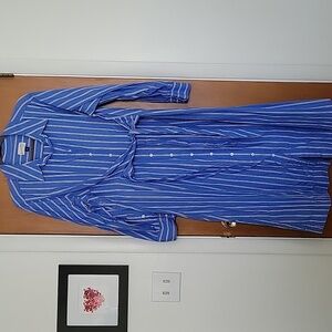 Universal Thread Blue Striped Shirt Dress
